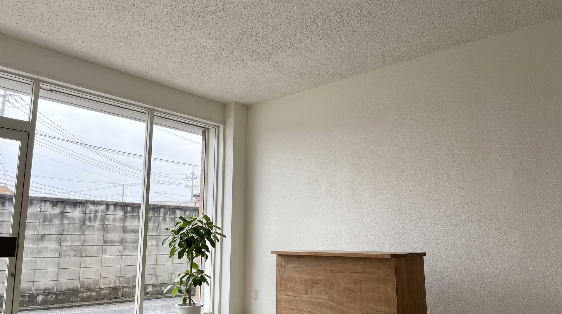 吹付で仕上げた壁と天井のある、店舗の室内（イメージ）